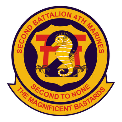 2nd BN 4th Marines 3